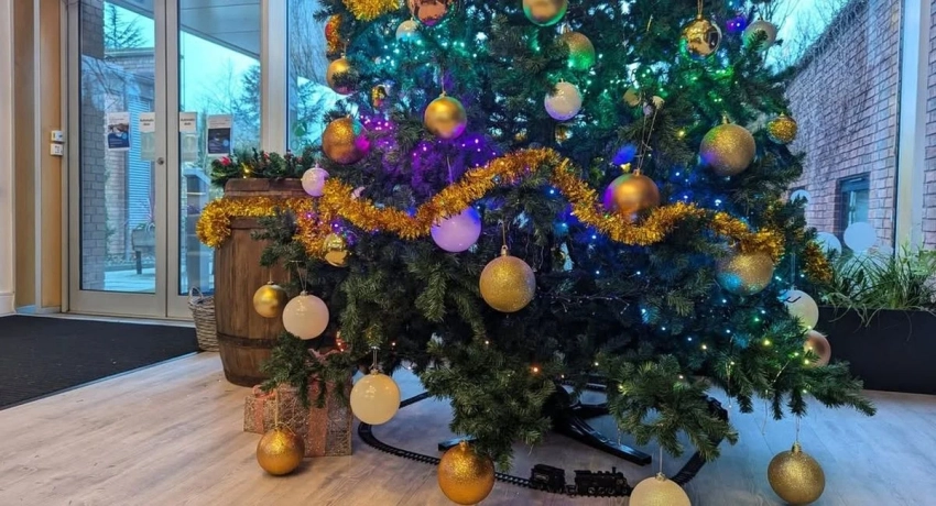 Студия Rare опубликовала первый за три года арт Everwild