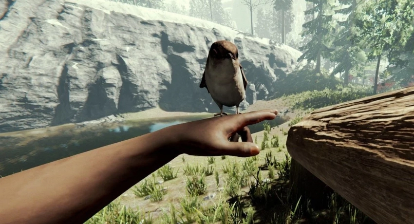 Онлайн The Forest в Steam впервые превысил 100 тысяч игроков