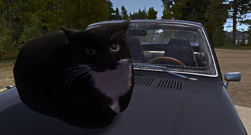 Авторы My Summer Car объявили о релизе игры после восьми лет раннего доступа