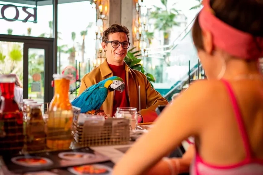 Что посмотреть с 31 октября по 6 ноября 2024 года из фильмов и сериалов?