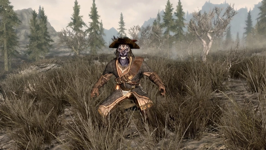 Bethesda проводит аукцион: победитель создаст персонажа для The Elder Scrolls VI