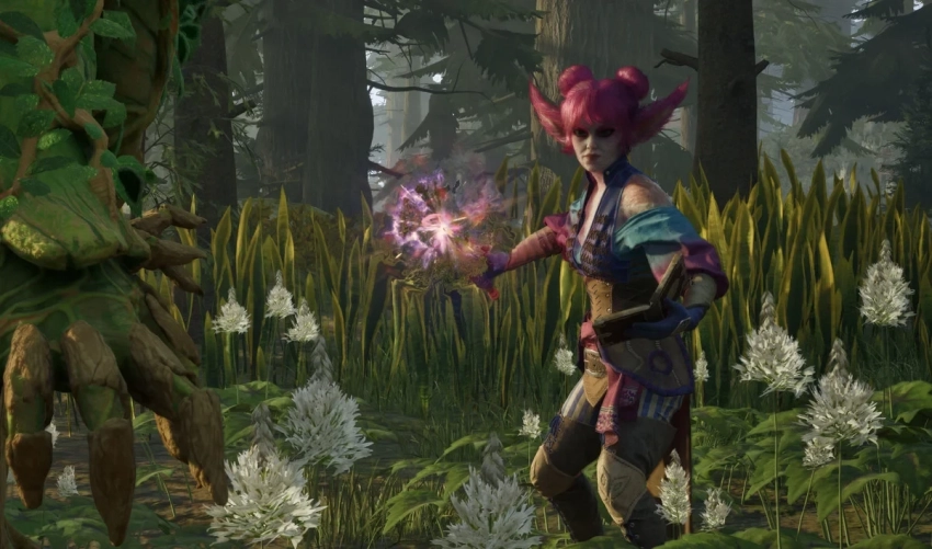 В Avowed нашли отсылку к мемной компаньонке Лидии из The Elder Scrolls 5: Skyrim