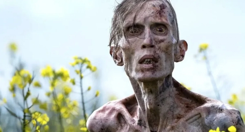 Авторы «28 дней спустя» и The Last of Us расхвалили сюжеты друг друга
