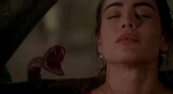 10 фильмов, в которых человек становится добычей – Портал статей