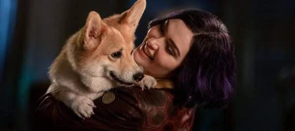 Создатель “Ковбоя Бибопа” не оценил адаптацию от Netflix — его хватило только на вступительную сцену – Портал статей