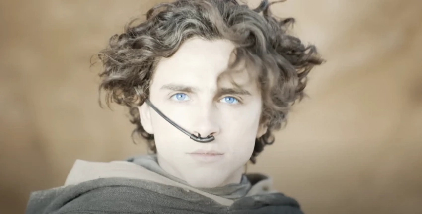 Как Дени Вильнёв снял идеальный блокбастер с толикой безумия? – Портал статей