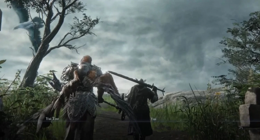 В Elden Ring Nightreign уже появился режим для двоих — FromSoftware ни при чём