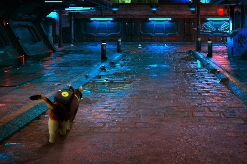 Издатель Stray впервые посетит Tokyo Game Show и скоро представит 3 новые игры